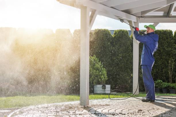 Best House Exterior Washing  in Blasdell, NY